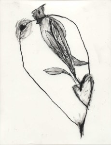Artist Book: Graphite Drawings by Gabrielle Senza © 2003